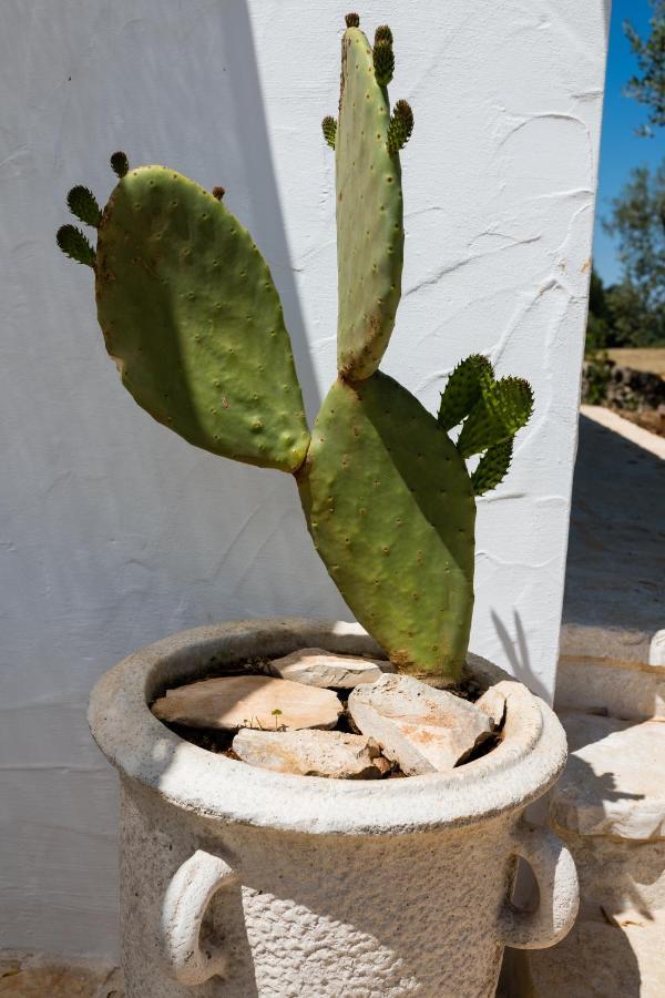 Il Trullo Della Rondinina Villa Alberobello Ngoại thất bức ảnh