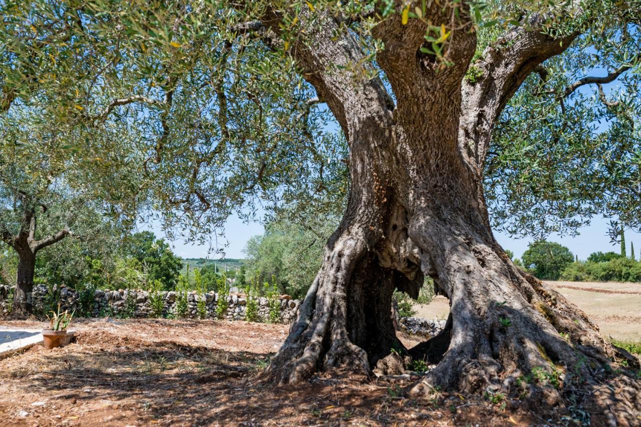 Il Trullo Della Rondinina Villa Alberobello Ngoại thất bức ảnh