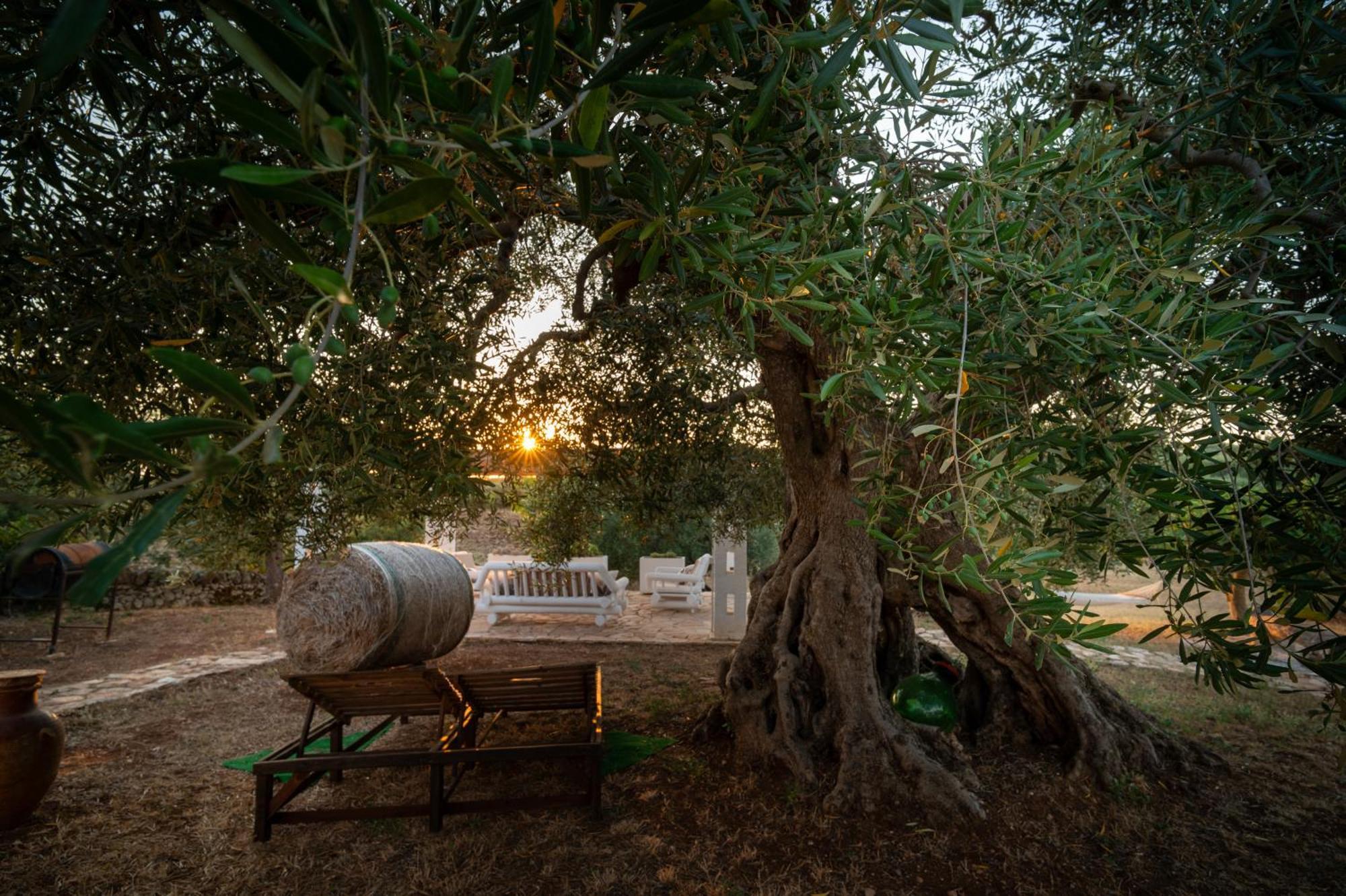 Il Trullo Della Rondinina Villa Alberobello Ngoại thất bức ảnh
